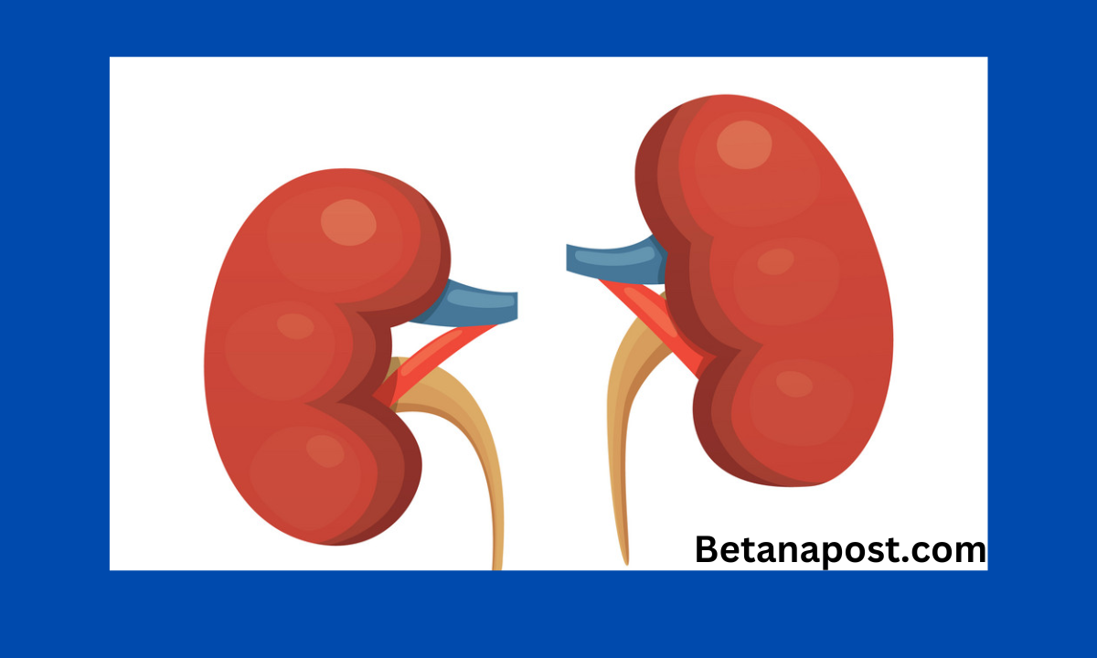 world kidney Day